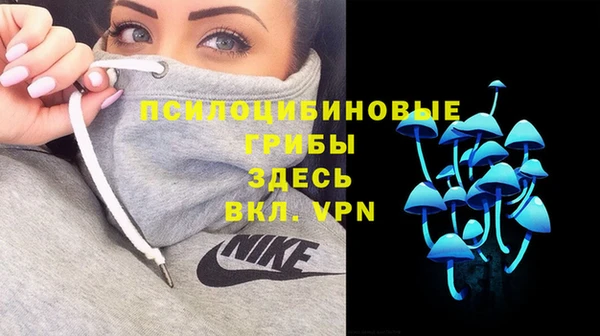 дживик Алексеевка