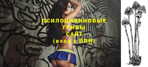дживик Алексеевка