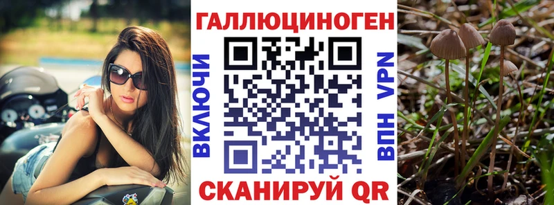Псилоцибиновые грибы Cubensis  как найти закладки  Полысаево 